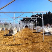 Solar Farm Ground Mount System